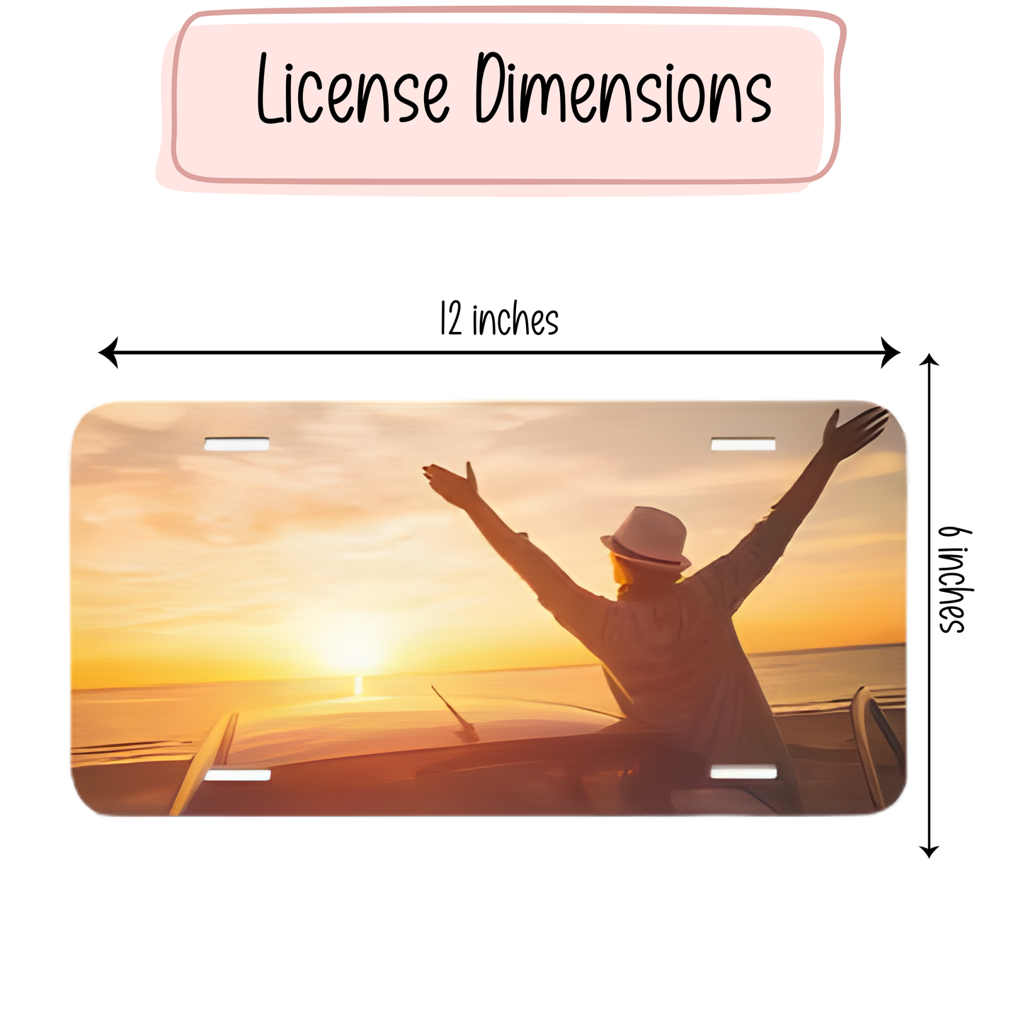 Custom Aluminum License Plate