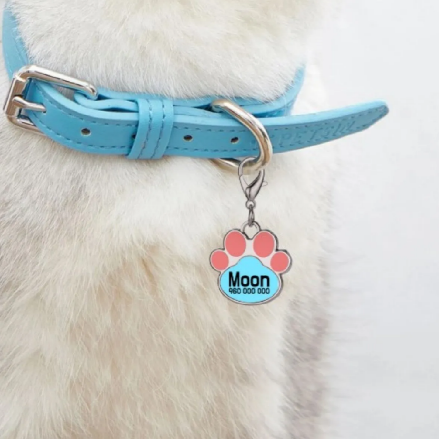 Custom Paw Dog Tag